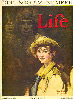 Boy Scout Numbers