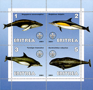 Eritrea Anmials