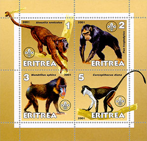 Eritrea Anmials