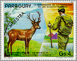 Paraguay 1982