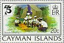 Cayman Islands 1982 #492