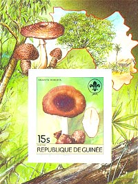 Guinea 1985 #924