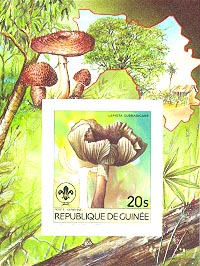 Guinea 1985 #924