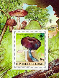 Guinea 1985