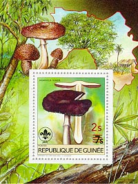 Guinea 1985