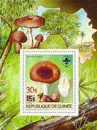 Guinea 1985