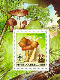 Guinea 1985