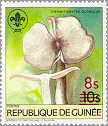 Guinea 1985