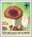 Guinea 1985