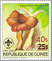 Guinea 1985