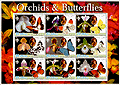 Afghanistan Orchids & Butterflies