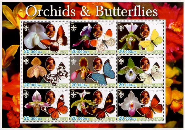 Afghanistan Orchids & Butterflies