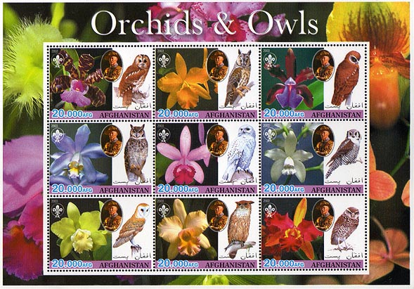 Afghanistan Orchids & Owls