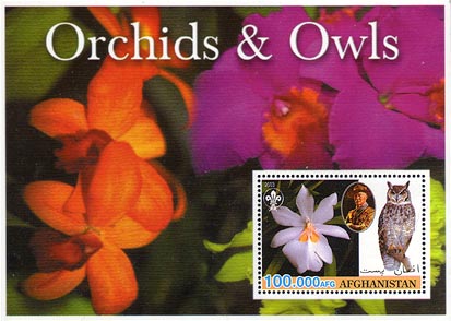 Afghanistan Orchid & Owls 100