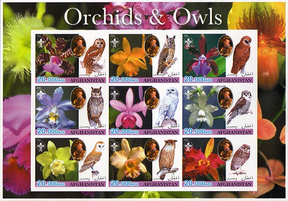 Afghanistan Orchids & Owls