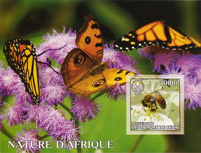 Benin African Nature C