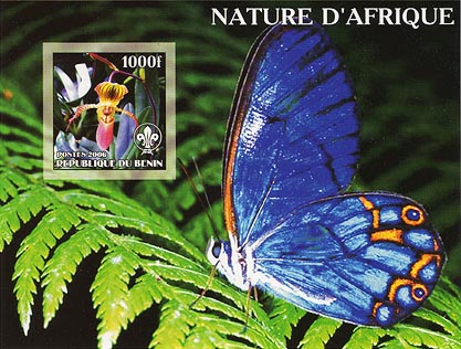 Benin African Nature M Imperf