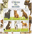 Benin Chien