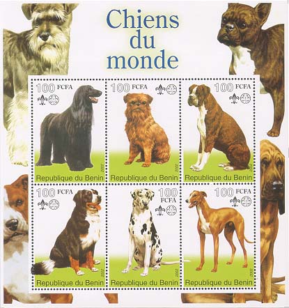 Benin Chien