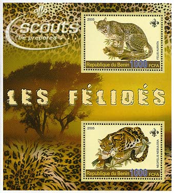 Benin Les Félidés