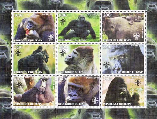 Benin Gorilla