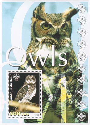 Benin Owl 500
