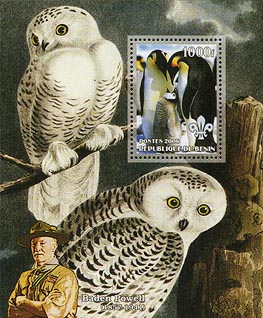 Benin Penguins & Owls C