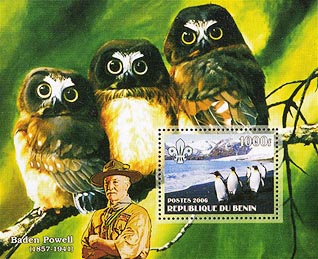 Benin Penguins & Owls D