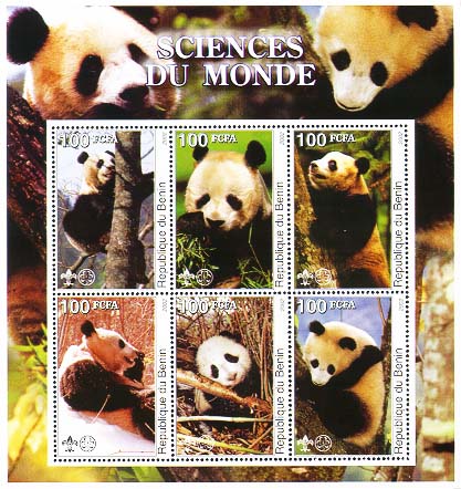 Benin Panda