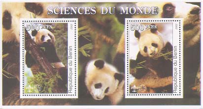 Benin Panda 500