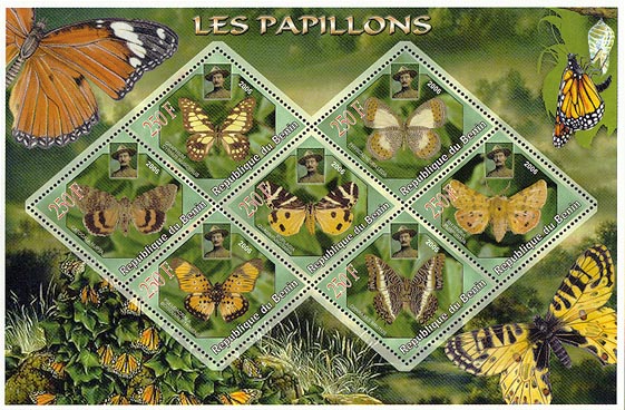 Benin Papillon