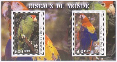 Benin Parrot 500