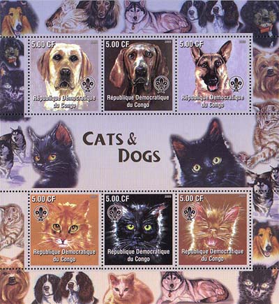 Congo Cats & Dogs