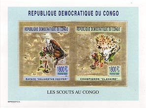 Congo Fungi & Bird Gold Pair Imperf