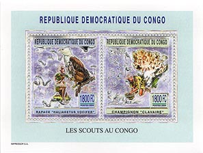 Congo Fungi & Bird Silver Pair