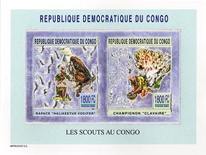 Congo Fungi & Bird Silver Pair Imperf