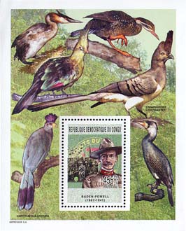 Congo Birdowlapeb