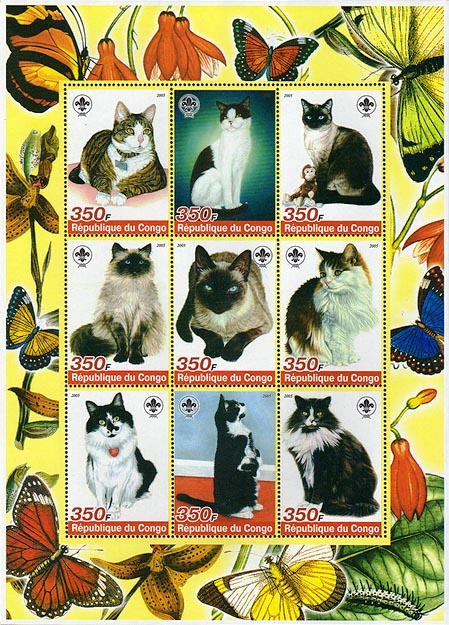 Congo Cats