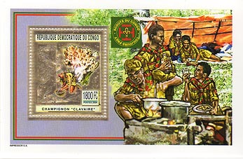 Congo Cooking Gold Foil