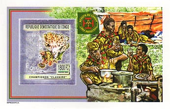 Congo Cooking Silver Foil Imperf