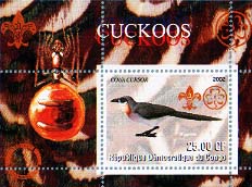 Congo Cuckoos 25