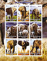 Congo Elephant 2004 Imperf
