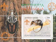 Congo Marsupial 25