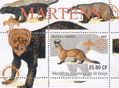 Congo Marten 25