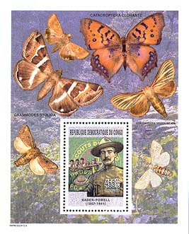 Congo Butterflies