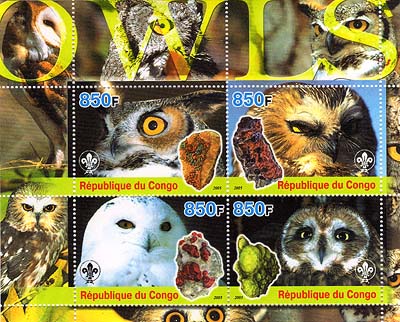 Congo Owls