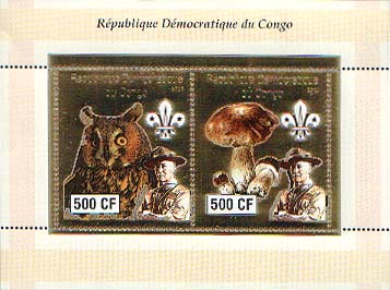 Congo Baden-Powell and Owls 500