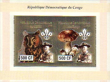 Congo Baden-Powell and Owls 500 Imperf