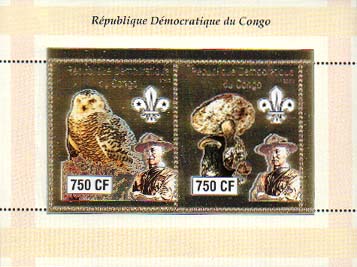 Congo Baden-Powell and Owls 750