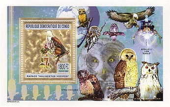 Congo Owl Gold Foil